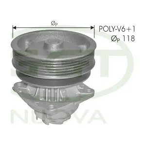 PA10924 GGT