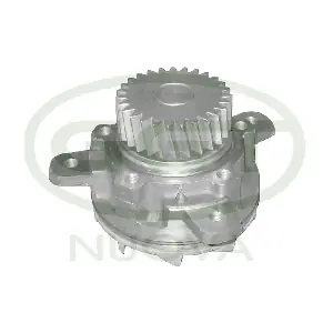 PA15026 GGT