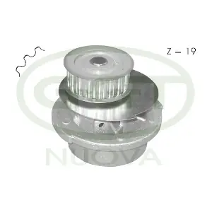 PA10545 GGT
