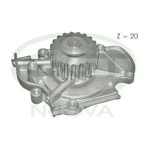 PA10729 GGT