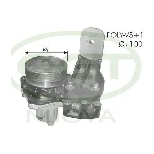 PA00803 GGT