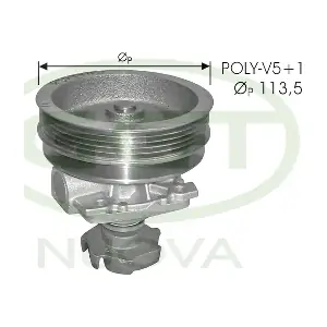 PA10672 GGT