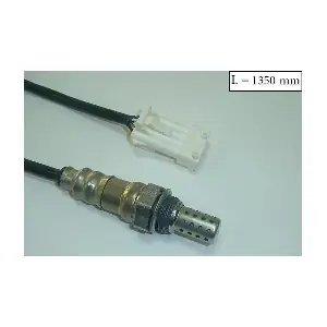 SLS13339 ACI-AVESA