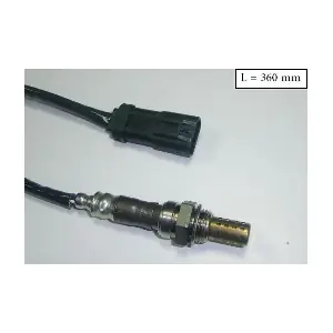 SLS13326 ACI-AVESA