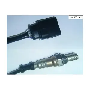 SLS-13319 ACI-AVESA