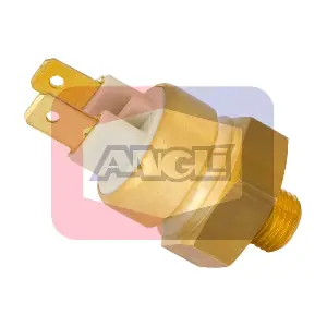 17531 ANGLI