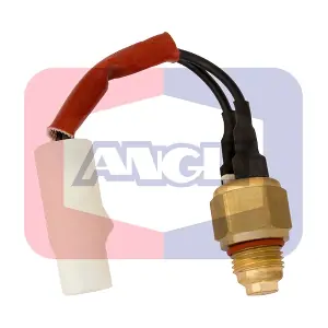 16220 ANGLI