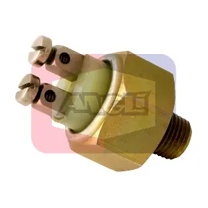 486 ANGLI