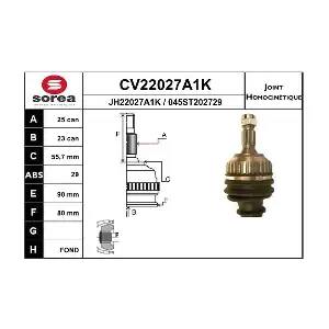 CV22027A1K EAI