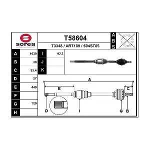 T58604 EAI