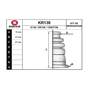 KR138 EAI