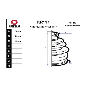 KR117 EAI