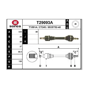 T29093A EAI