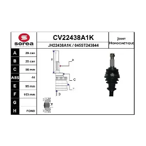 CV22438A1K EAI