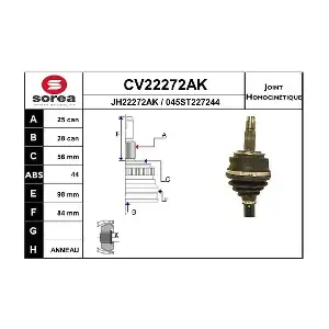 CV22272AK EAI