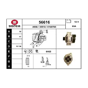 56616 EAI