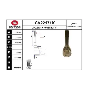 CV22171K EAI