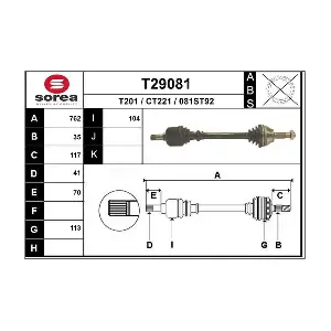 T29081 EAI