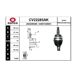 CV22285AK EAI