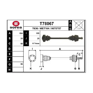 T78067 EAI