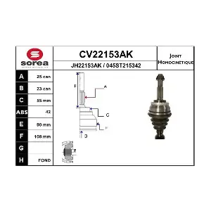 CV22153AK EAI