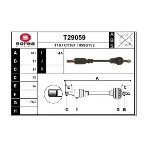 T29059 EAI