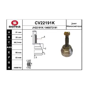 CV22191K EAI