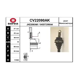 CV22090AK EAI