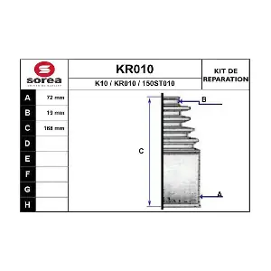 KR010 EAI