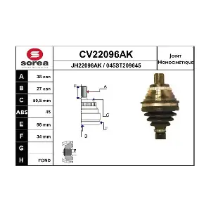 CV22096AK EAI