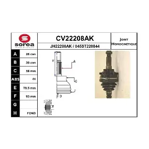 CV22208AK EAI