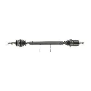 T815 CEVAM