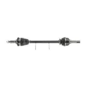 51568Z CEVAM