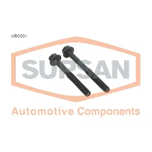 HB0001 SUPSAN Automotive Co