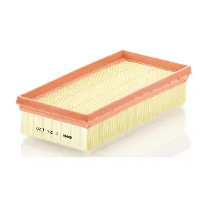 C24120 MANN-FILTER