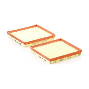 C26009-2 MANN-FILTER