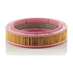 C2231/1 MANN-FILTER