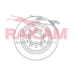 RD00953 RAICAM