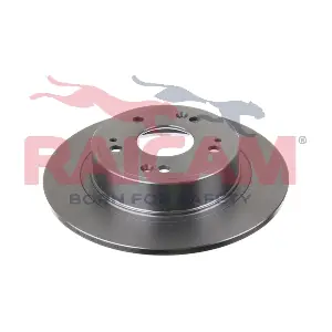RD00317 RAICAM