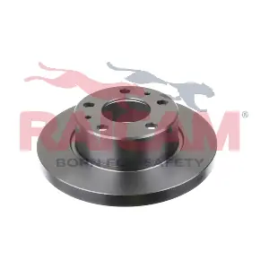 RD00210 RAICAM