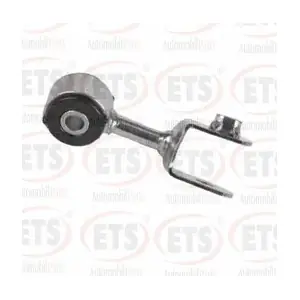 29.LB.306 ETS