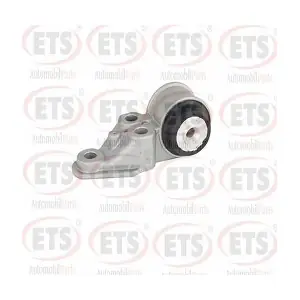 31.SB.035 ETS