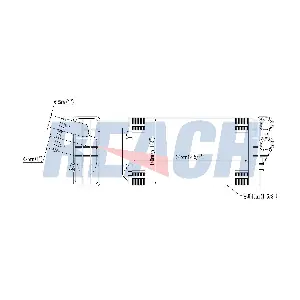 1.18.12706 REACH