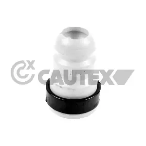 773600 CAUTEX