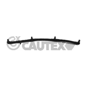 775588 CAUTEX