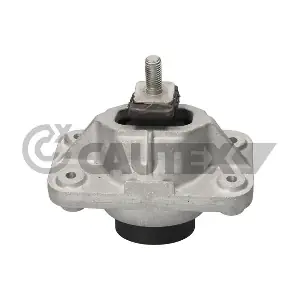 776958 CAUTEX
