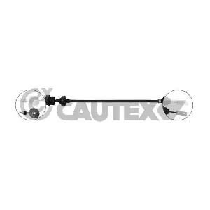 21229 CAUTEX