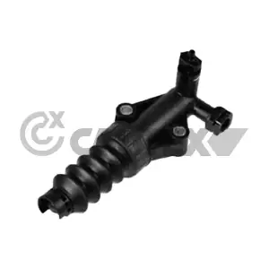 771555 CAUTEX
