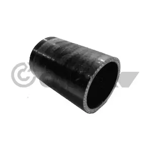 066580 CAUTEX