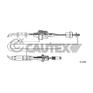 762539 CAUTEX